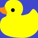 theDuckGuesses avatar